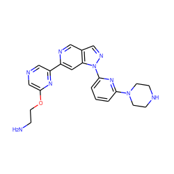 NCCOc1cncc(-c2cc3c(cn2)cnn3-c2cccc(N3CCNCC3)n2)n1 ZINC000224850849