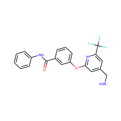 NCc1cc(Oc2cccc(C(=O)Nc3ccccc3)c2)nc(C(F)(F)F)c1 ZINC001772571975