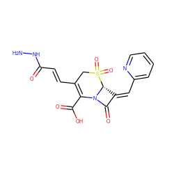 NNC(=O)/C=C/C1=C(C(=O)O)N2C(=O)/C(=C/c3ccccn3)[C@H]2S(=O)(=O)C1 ZINC000013442976