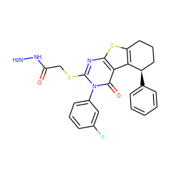 NNC(=O)CSc1nc2sc3c(c2c(=O)n1-c1cccc(F)c1)[C@H](c1ccccc1)CCC3 ZINC000028354325