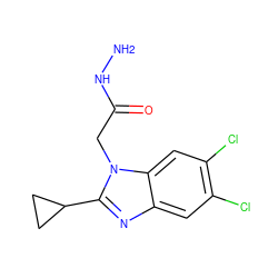 NNC(=O)Cn1c(C2CC2)nc2cc(Cl)c(Cl)cc21 ZINC001772605022