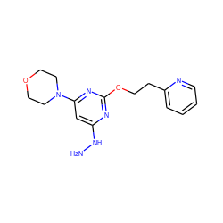 NNc1cc(N2CCOCC2)nc(OCCc2ccccn2)n1 ZINC000000033983