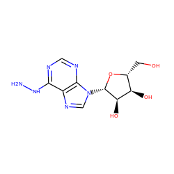 NNc1ncnc2c1ncn2[C@@H]1O[C@H](CO)[C@@H](O)[C@H]1O ZINC000004024123