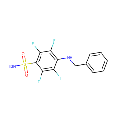 NS(=O)(=O)c1c(F)c(F)c(NCc2ccccc2)c(F)c1F ZINC000095585898