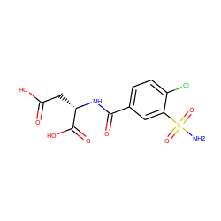 NS(=O)(=O)c1cc(C(=O)N[C@@H](CC(=O)O)C(=O)O)ccc1Cl ZINC000029478487