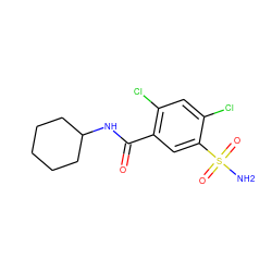 NS(=O)(=O)c1cc(C(=O)NC2CCCCC2)c(Cl)cc1Cl ZINC000015344732