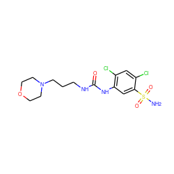 NS(=O)(=O)c1cc(NC(=O)NCCCN2CCOCC2)c(Cl)cc1Cl ZINC000169351755