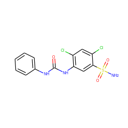 NS(=O)(=O)c1cc(NC(=O)Nc2ccccc2)c(Cl)cc1Cl ZINC000169351746