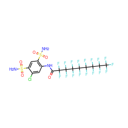 NS(=O)(=O)c1cc(S(N)(=O)=O)c(NC(=O)C(F)(F)C(F)(F)C(F)(F)C(F)(F)C(F)(F)C(F)(F)C(F)(F)C(F)(F)F)cc1Cl ZINC000095611468