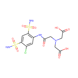 NS(=O)(=O)c1cc(S(N)(=O)=O)c(NC(=O)CN(CC(=O)O)CC(=O)O)cc1Cl ZINC000013472910