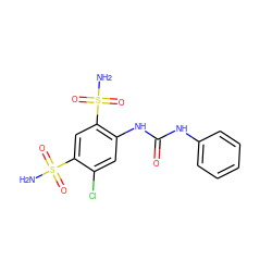 NS(=O)(=O)c1cc(S(N)(=O)=O)c(NC(=O)Nc2ccccc2)cc1Cl ZINC000028526471