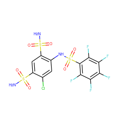 NS(=O)(=O)c1cc(S(N)(=O)=O)c(NS(=O)(=O)c2c(F)c(F)c(F)c(F)c2F)cc1Cl ZINC000027521215