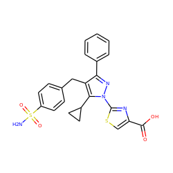 NS(=O)(=O)c1ccc(Cc2c(-c3ccccc3)nn(-c3nc(C(=O)O)cs3)c2C2CC2)cc1 ZINC001772606487