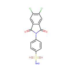 NS(=O)(=O)c1ccc(N2C(=O)c3cc(Cl)c(Cl)cc3C2=O)cc1 ZINC000096905484