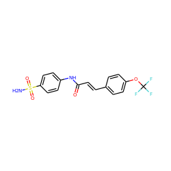 NS(=O)(=O)c1ccc(NC(=O)/C=C/c2ccc(OC(F)(F)F)cc2)cc1 ZINC000015270352