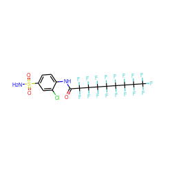 NS(=O)(=O)c1ccc(NC(=O)C(F)(F)C(F)(F)C(F)(F)C(F)(F)C(F)(F)C(F)(F)C(F)(F)C(F)(F)F)c(Cl)c1 ZINC000034718097