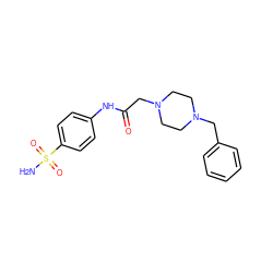 NS(=O)(=O)c1ccc(NC(=O)CN2CCN(Cc3ccccc3)CC2)cc1 ZINC000020058159