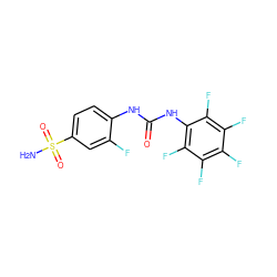 NS(=O)(=O)c1ccc(NC(=O)Nc2c(F)c(F)c(F)c(F)c2F)c(F)c1 ZINC000013561071