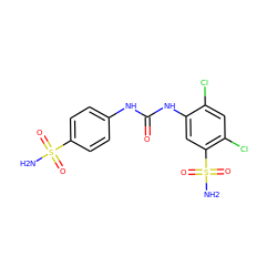 NS(=O)(=O)c1ccc(NC(=O)Nc2cc(S(N)(=O)=O)c(Cl)cc2Cl)cc1 ZINC000169351750