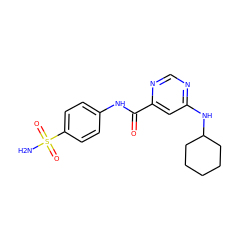 NS(=O)(=O)c1ccc(NC(=O)c2cc(NC3CCCCC3)ncn2)cc1 ZINC000049054558