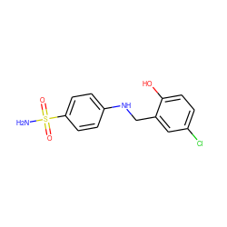 NS(=O)(=O)c1ccc(NCc2cc(Cl)ccc2O)cc1 ZINC000020547388