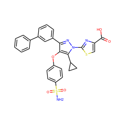 NS(=O)(=O)c1ccc(Oc2c(-c3cccc(-c4ccccc4)c3)nn(-c3nc(C(=O)O)cs3)c2C2CC2)cc1 ZINC001772615513