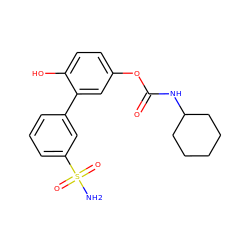 NS(=O)(=O)c1cccc(-c2cc(OC(=O)NC3CCCCC3)ccc2O)c1 ZINC000096273122