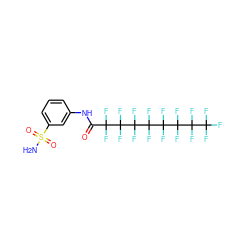 NS(=O)(=O)c1cccc(NC(=O)C(F)(F)C(F)(F)C(F)(F)C(F)(F)C(F)(F)C(F)(F)C(F)(F)C(F)(F)F)c1 ZINC000034718086