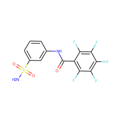 NS(=O)(=O)c1cccc(NC(=O)c2c(F)c(F)c(F)c(F)c2F)c1 ZINC000013835311