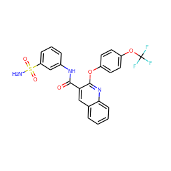 NS(=O)(=O)c1cccc(NC(=O)c2cc3ccccc3nc2Oc2ccc(OC(F)(F)F)cc2)c1 ZINC000143201012