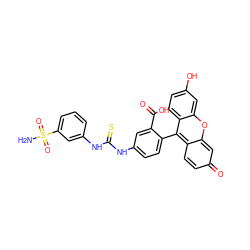 NS(=O)(=O)c1cccc(NC(=S)Nc2ccc(-c3c4ccc(=O)cc-4oc4cc(O)ccc34)c(C(=O)O)c2)c1 ZINC000028461669