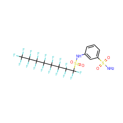 NS(=O)(=O)c1cccc(NS(=O)(=O)C(F)(F)C(F)(F)C(F)(F)C(F)(F)C(F)(F)C(F)(F)C(F)(F)C(F)(F)F)c1 ZINC000034718088