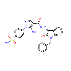 Nc1c(C(=O)N/N=C2\C(=O)N(Cc3ccccc3)c3ccccc32)cnn1-c1ccc(S(N)(=O)=O)cc1 ZINC000473154549