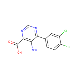 Nc1c(C(=O)O)ncnc1-c1ccc(Cl)c(Cl)c1 ZINC000206204194