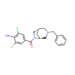 Nc1c(Cl)cc(C(=O)N2C[C@H]3C[C@H]2CN(Cc2ccccc2)C3)cc1Cl ZINC000101071991