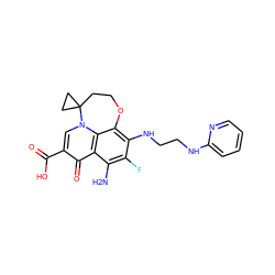 Nc1c(F)c(NCCNc2ccccn2)c2c3c1c(=O)c(C(=O)O)cn3C1(CCO2)CC1 ZINC000059223657