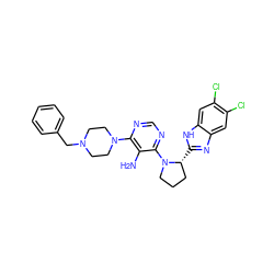 Nc1c(N2CCN(Cc3ccccc3)CC2)ncnc1N1CCC[C@H]1c1nc2cc(Cl)c(Cl)cc2[nH]1 ZINC000073198442