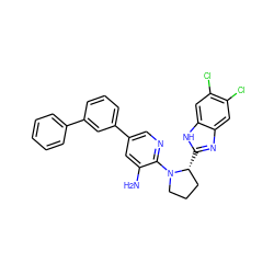 Nc1cc(-c2cccc(-c3ccccc3)c2)cnc1N1CCC[C@H]1c1nc2cc(Cl)c(Cl)cc2[nH]1 ZINC000082157074