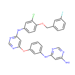 Nc1cc(Nc2cccc(Oc3cc(Nc4ccc(OCc5cccc(F)c5)c(Cl)c4)ncn3)c2)ncn1 ZINC000082154137