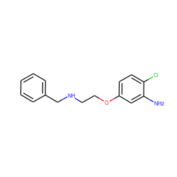 Nc1cc(OCCNCc2ccccc2)ccc1Cl ZINC000026752285