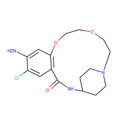 Nc1cc2c(cc1Cl)C(=O)NC1CCN(CCOCCO2)CC1 ZINC000100887950