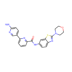 Nc1ccc(-c2cccc(C(=O)Nc3ccc4nc(N5CCOCC5)sc4c3)n2)cn1 ZINC000206470604