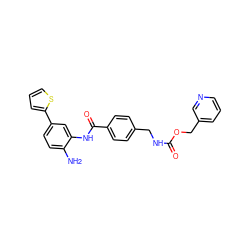 Nc1ccc(-c2cccs2)cc1NC(=O)c1ccc(CNC(=O)OCc2cccnc2)cc1 ZINC000014970778