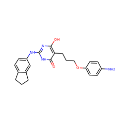 Nc1ccc(OCCCc2c(O)nc(Nc3ccc4c(c3)CCC4)[nH]c2=O)cc1 ZINC000028568898