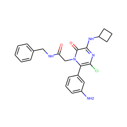 Nc1cccc(-c2c(Cl)nc(NC3CCC3)c(=O)n2CC(=O)NCc2ccccc2)c1 ZINC000028707619