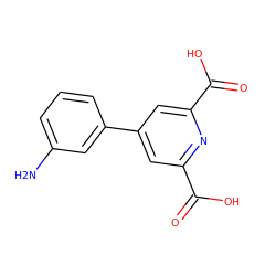 Nc1cccc(-c2cc(C(=O)O)nc(C(=O)O)c2)c1 ZINC001503999324