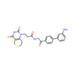 Nc1cccc(-c2ccc(C(=O)CNC(=O)CCn3c4c(c(=O)[nH]c3=O)CSCC4)cc2)c1 ZINC000013860423