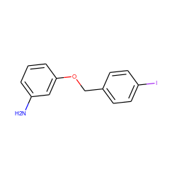 Nc1cccc(OCc2ccc(I)cc2)c1 ZINC000083849033