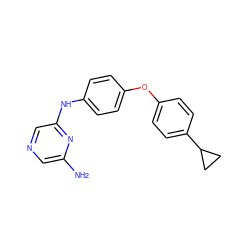 Nc1cncc(Nc2ccc(Oc3ccc(C4CC4)cc3)cc2)n1 ZINC000084604363