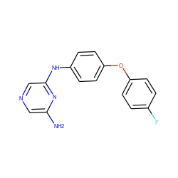 Nc1cncc(Nc2ccc(Oc3ccc(F)cc3)cc2)n1 ZINC000084615643